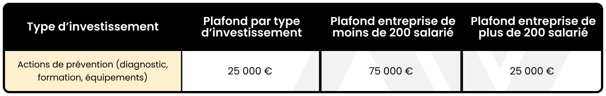 tableau plafond par types investissements